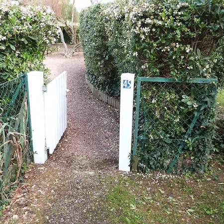 Charmante Maison Proche Avec Jardin Prive Et Stationnement, Au Coeur De - Fr-1-194-279 Holiday home